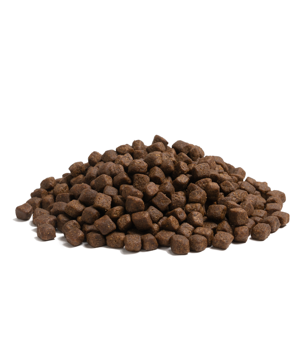 Best Pet Groomer in the East